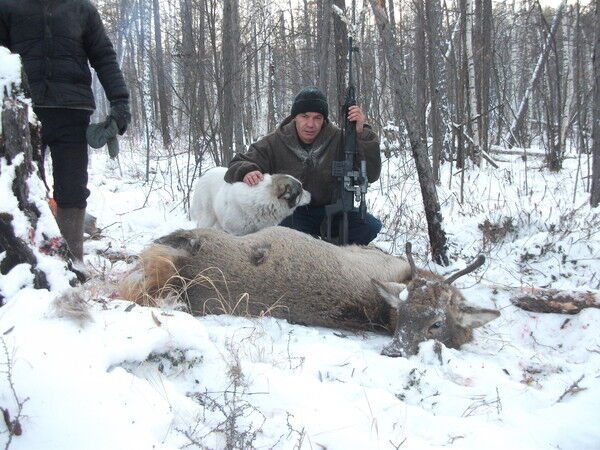 ���� 5121119 ������� ������, 50 ���, ���� ���������� � �������������