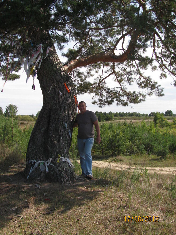 ���� 9765079 ������� �������, 52 ����, ���� ���������� � ������