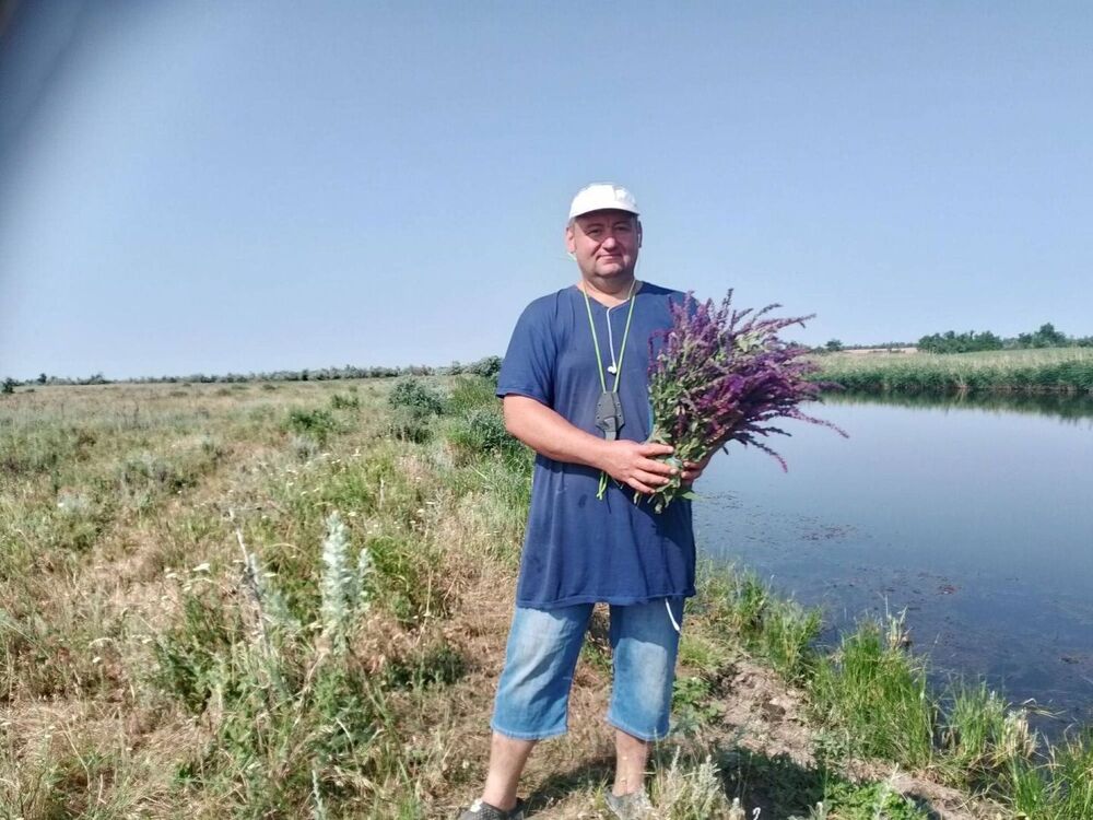 ���������� �����, ���� ������� ��������, 40 ���, ������������ ��� ������, ����� � ���������, c�������� ���������, ���������