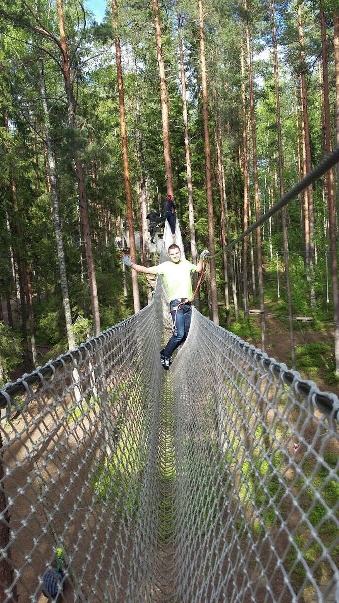  6246039  , 37 ,    -