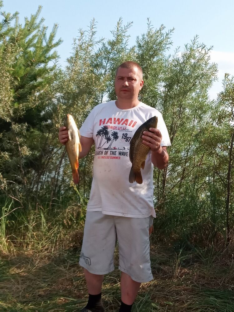 ���������� �������, ���� ������� �������, 39 ���, ������������ ��� ������, ����� � ���������, ���������