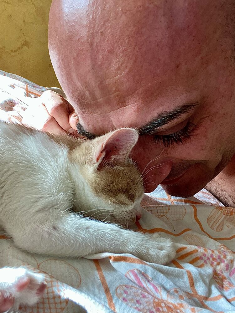  Bitola,   , 40 ,   ,   