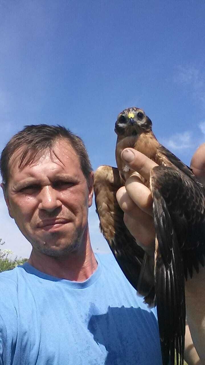 ���������� ������ ��������, ���� ������� ������, 47 ���, ������������ ��� ������, ����� � ���������