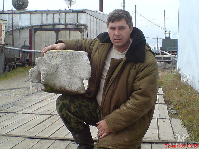 ���� 41021589 ������� �������, 56 ���, ���� ���������� � ��������