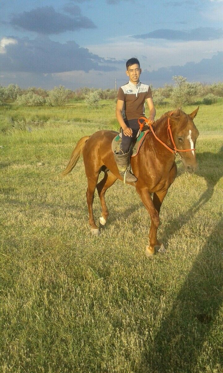 ���� 19127509 ������� �����, 28 ���, ���� ���������� � ������