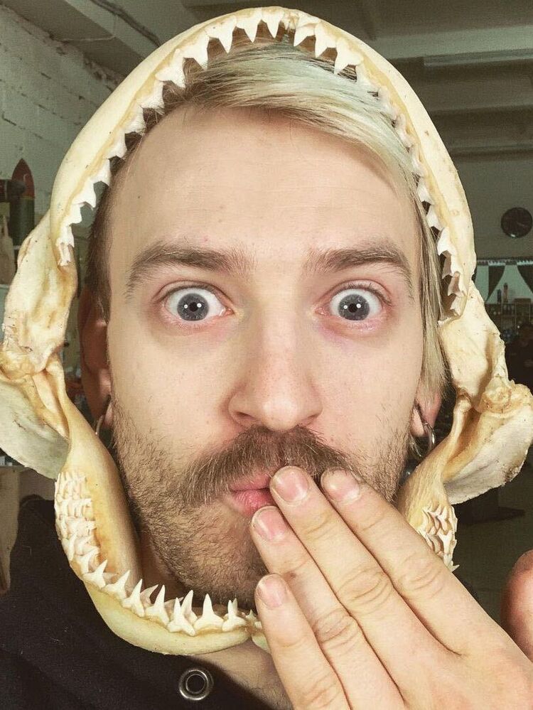 ���� 28023879 ����� ���������, 23 ����, ���� ���������� � ������������