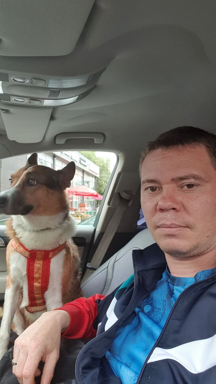 ���� 51297489 ������� ����, 41 ���, ���� ���������� � ������