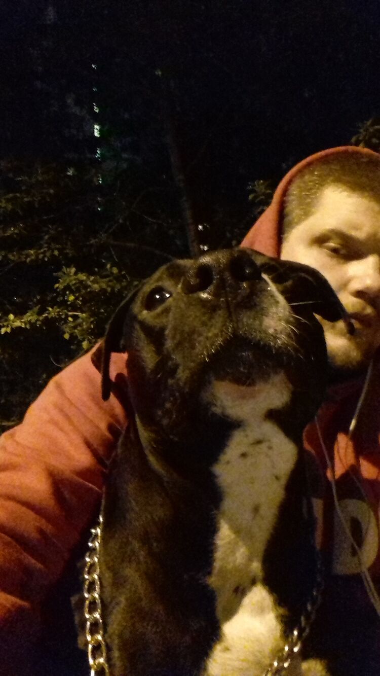 ���������� ������, ���� ������� ������, 33 ����, ������������ ��� ������, ����� � ���������