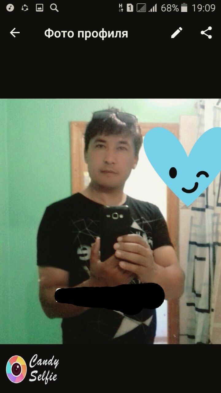  -,   , 44 ,   ,   