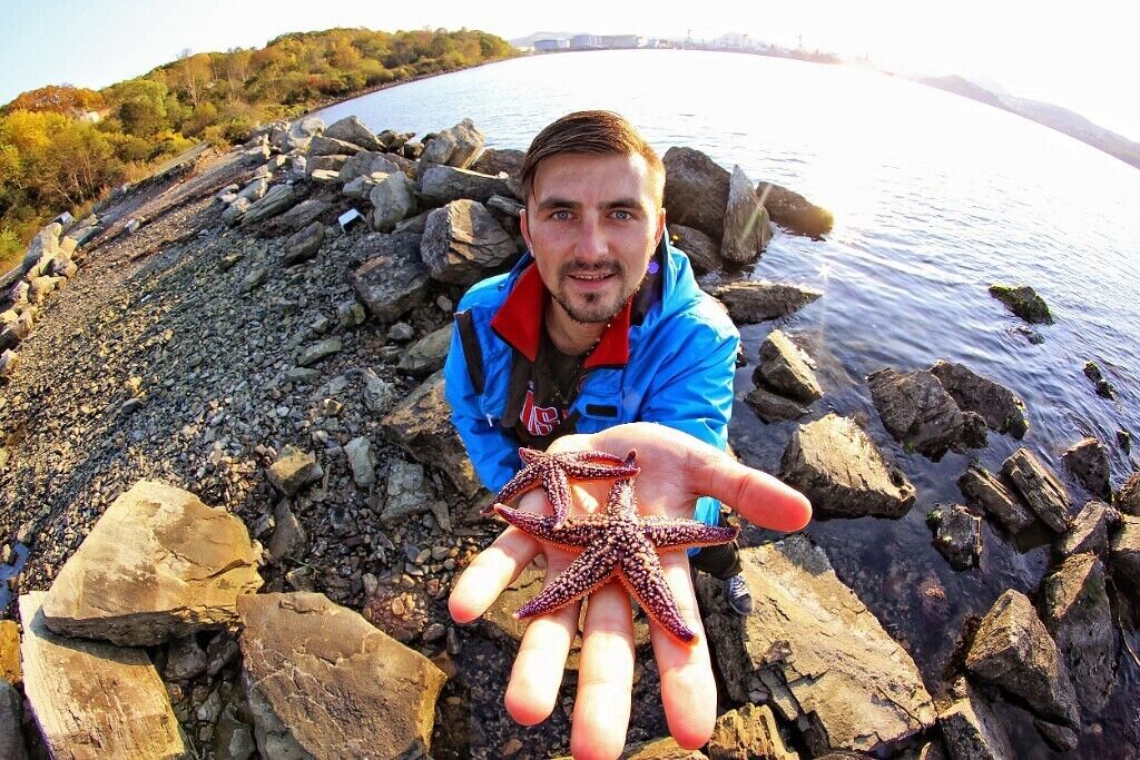 ���������� �����������, ���� ������� ��������, 41 ���, ������������ ��� ������, ����� � ���������, c�������� ���������