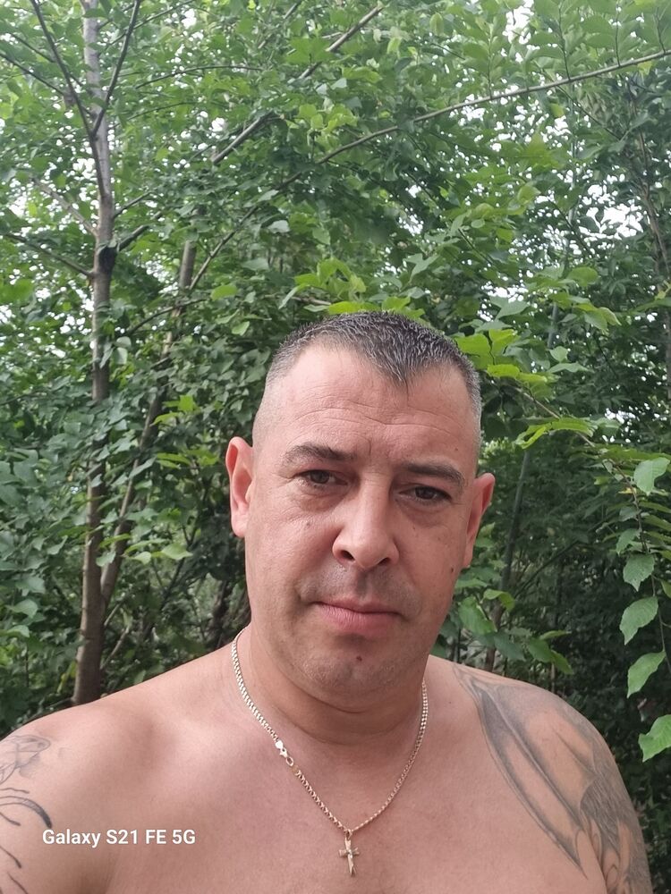  41223949  , 43 ,    