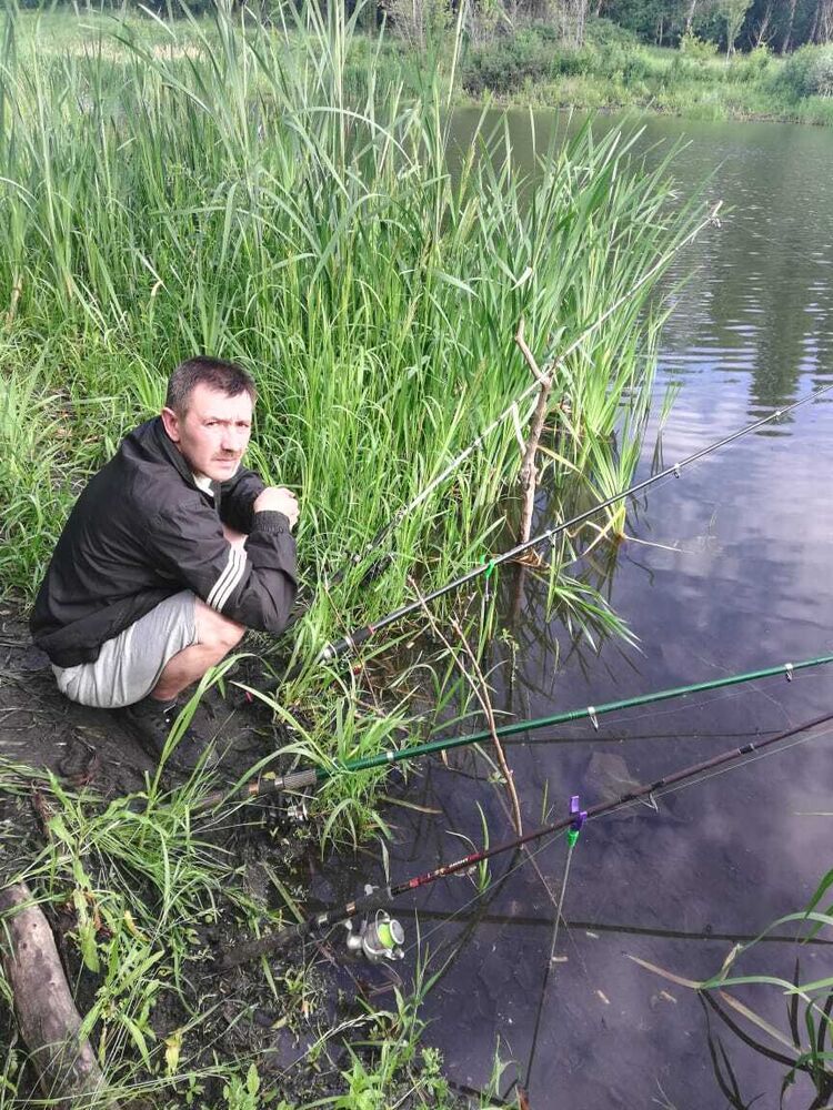 ���� 31383969 ������� �������, 49 ���, ���� ���������� � ��������