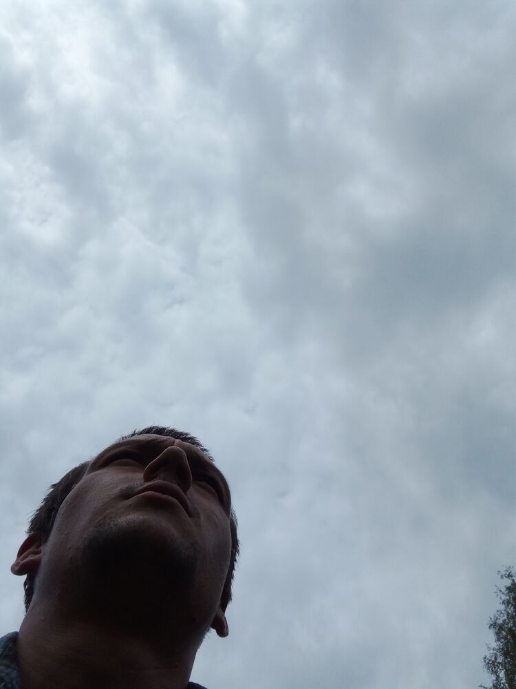  23633979  , 29 ,    