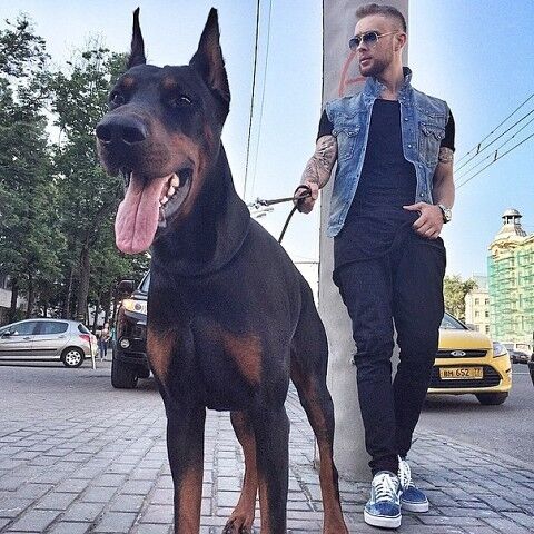 ���������� ������, ���� ������� ������, 40 ���, ������������ ��� ������