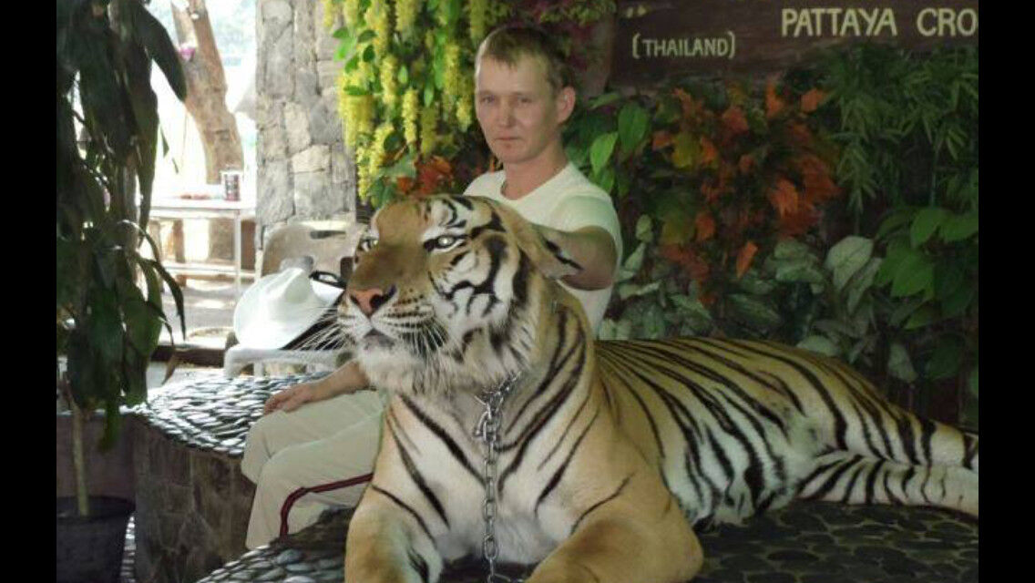  -,   , 49 ,   ,   , c , 