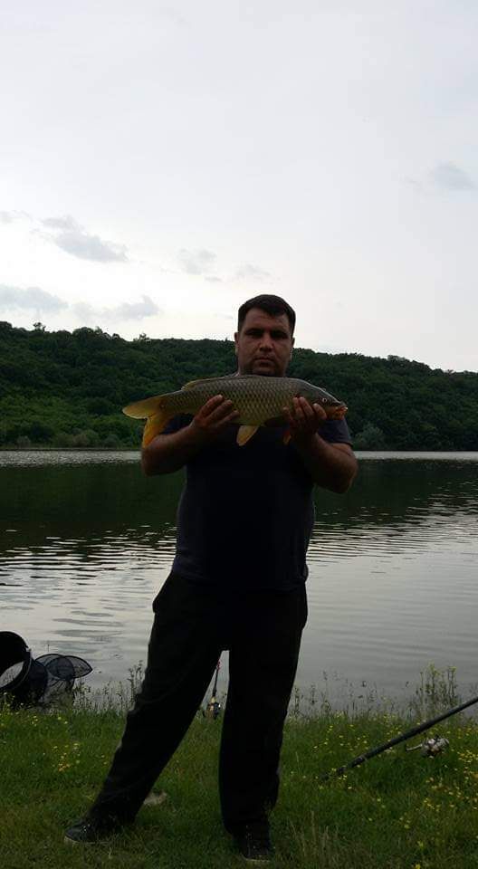 ���� 23292819 ������� Gio gio, 36 ���, ���� ���������� � �������