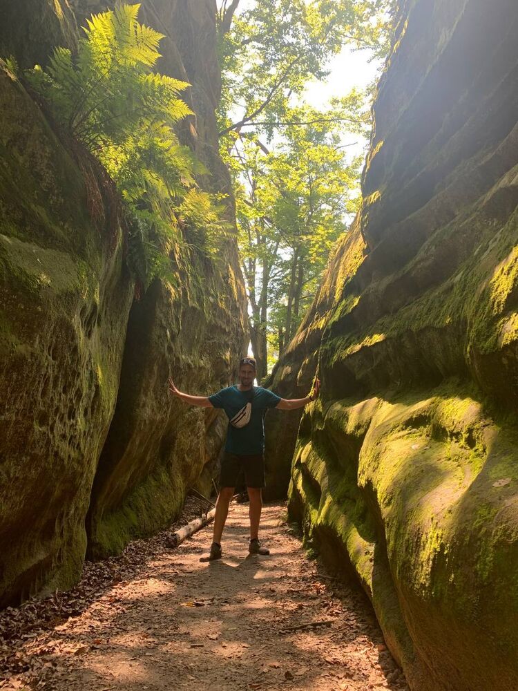 ���������� ������, ���� ������� �����, 36 ���, ������������ ��� ������, ���������