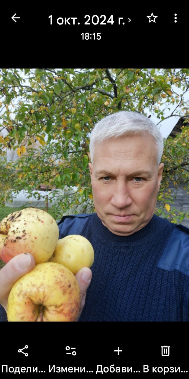 ���������� �����-���������, ���� ������� ����, 58 ���, ������������ ��� ������, ����� � ���������