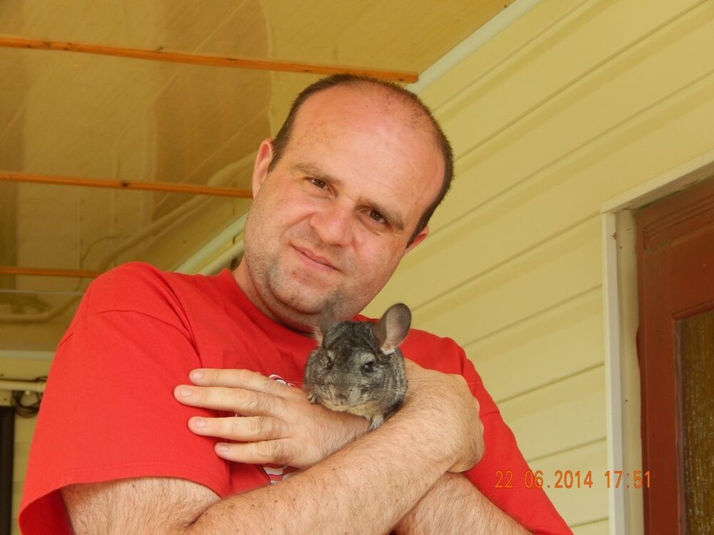 ���������� ����, ���� ������� BOGDAN, 46 ���, ������������ ��� ������, ����� � ���������, c�������� ���������