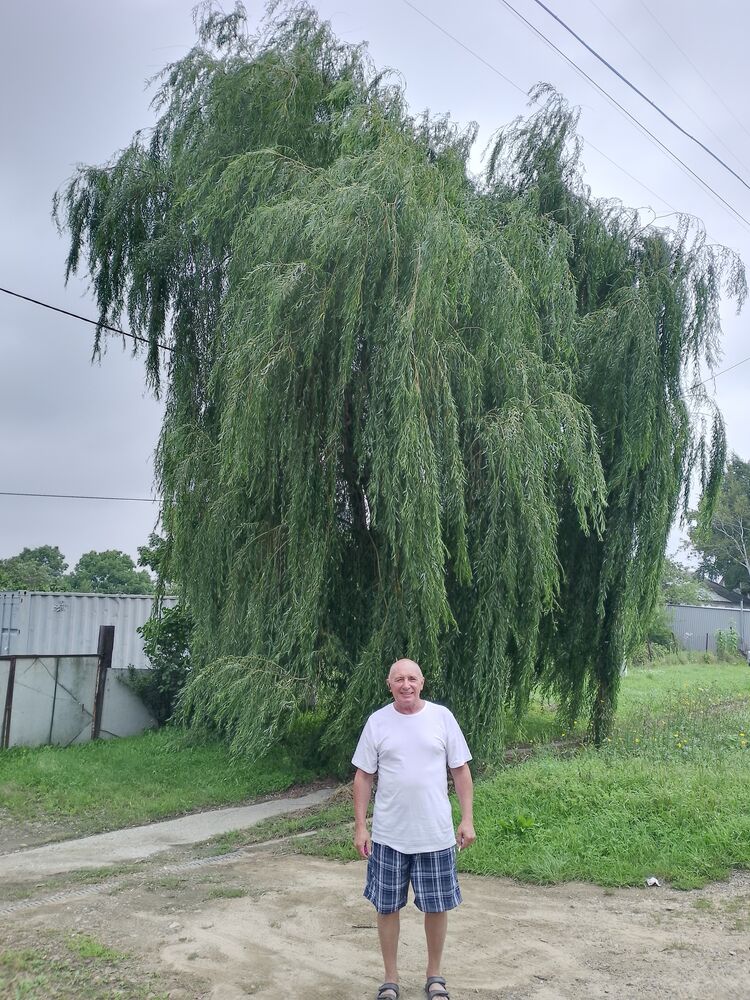  --,   , 66 ,   c 