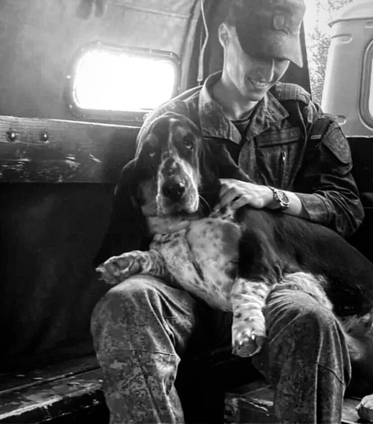 ���������� �����, ���� ����� ����, 24 ����, ������������ ��� ������, ����� � ���������