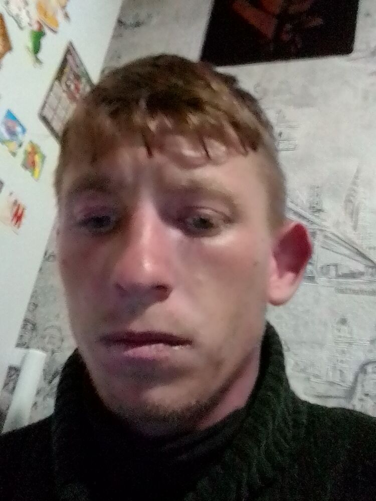  26032079  , 29 ,    
