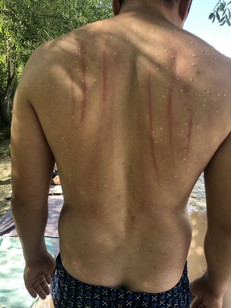 ���������� �������, ���� ������� �����, 33 ����, ������������ ��� ������, ����� � ���������