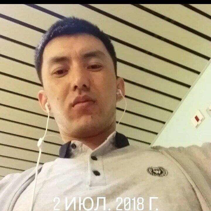  24981519  , 31 ,    -