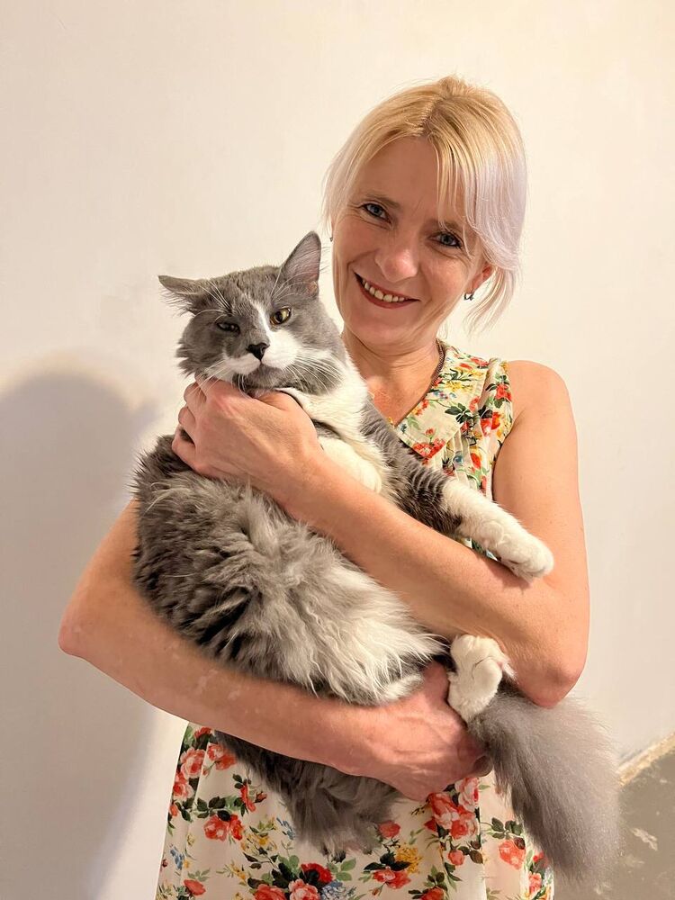 ���������� �����, ���� ������� �������, 48 ���, ������������ ��� c�������� ���������