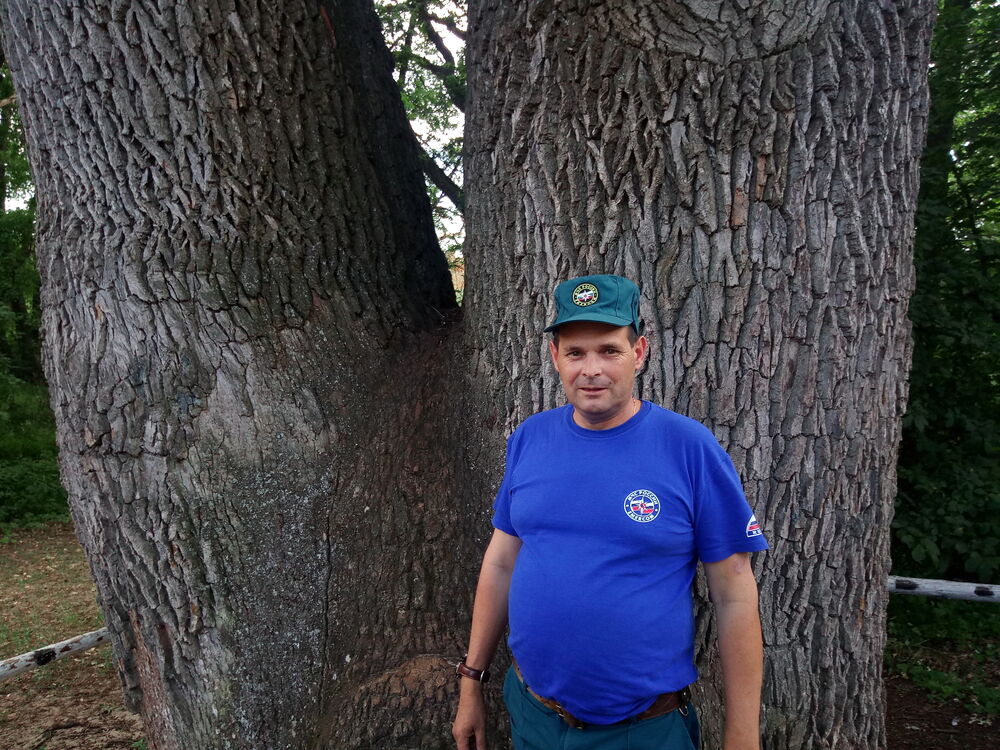 ���� 25413259 ������� �������, 52 ����, ���� ���������� � �������-��-����