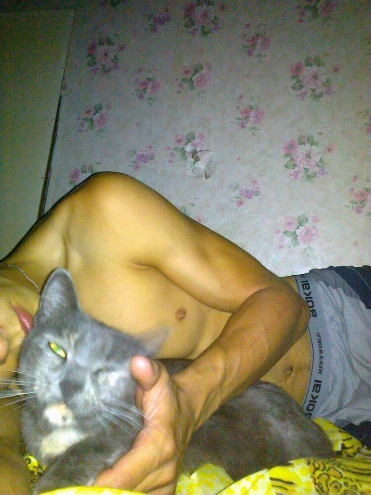   ,   , 29 ,     , c 