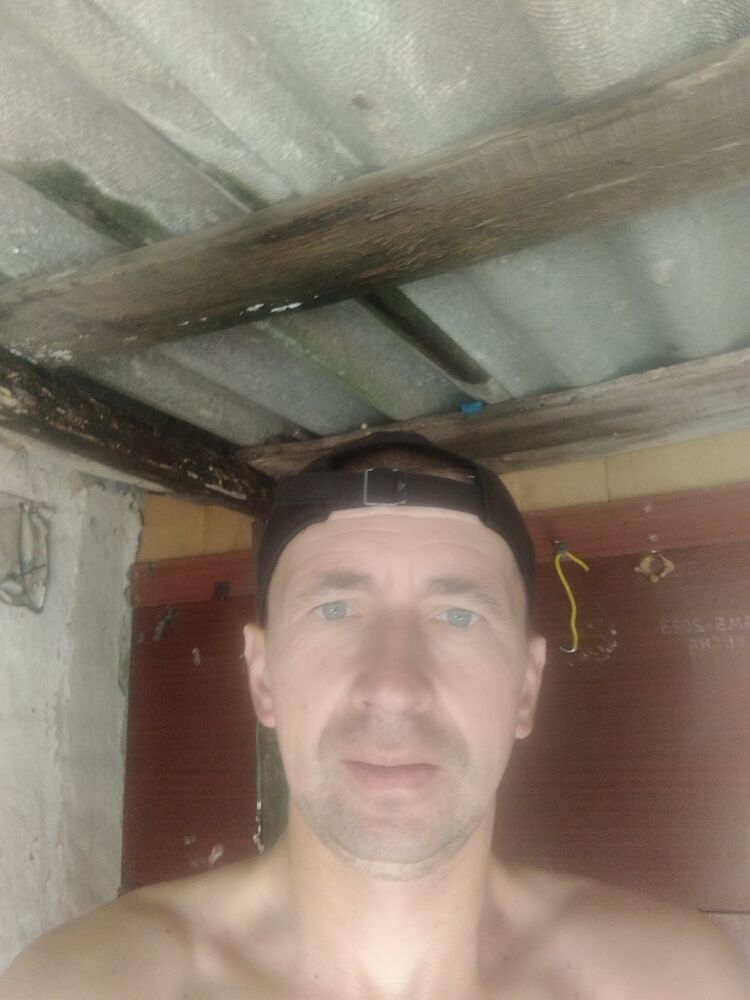  44653569  , 43 ,    