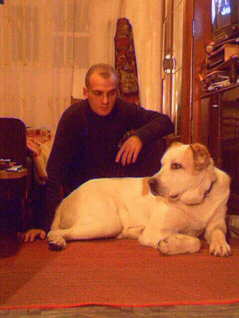 ���� 3995989 ������� ������, 51 ���, ���� ���������� � �����