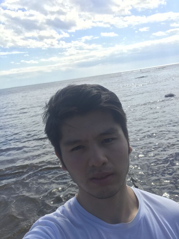  31055029  , 24 ,    -