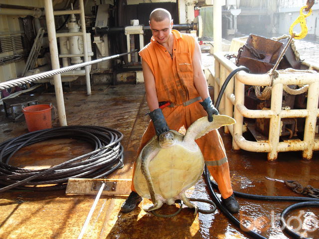 ���������� �������, ���� ������� San4elas, 40 ���, ������������ ��� ������, ����� � ���������, c�������� ���������