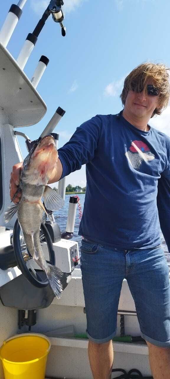 ���� 49111589 ������� ����, 47 ���, ���� ���������� � �����-����������