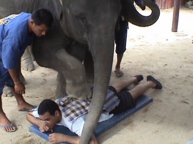  31809549  Aziz, 49 ,    