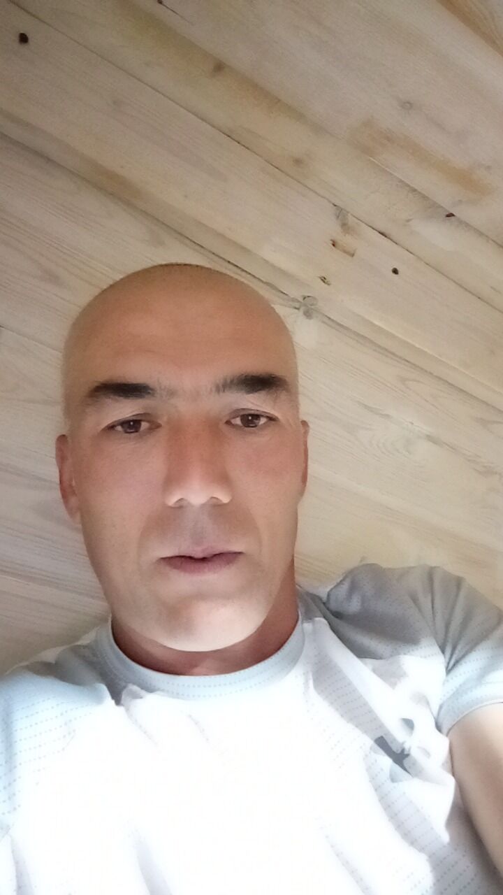  44150129  , 38 ,    