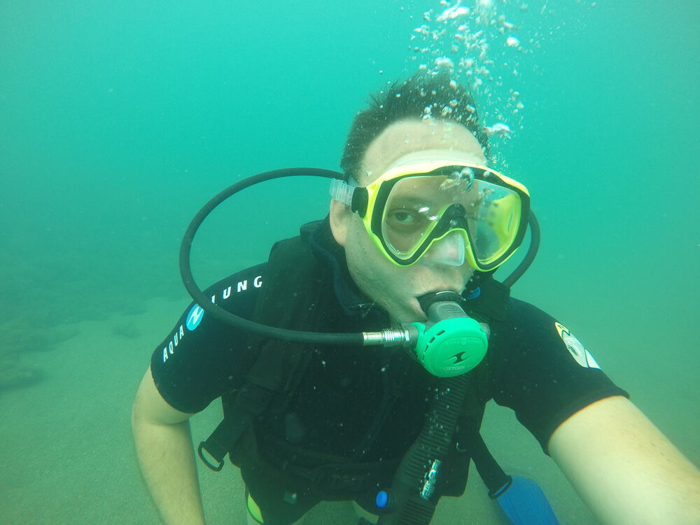 ���������� ���������, ���� ������� ����, 44 ����, ������������ ��� ������, ����� � ���������, c�������� ���������, ���������