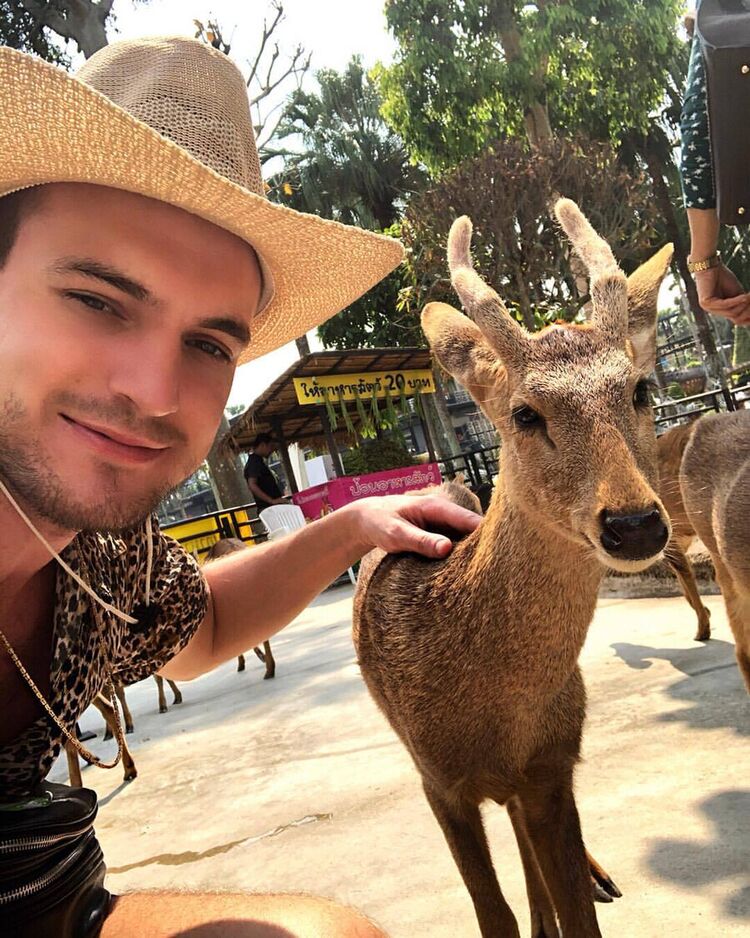 ���������� ������, ���� ������� �����, 38 ���, ������������ ��� ������, ����� � ���������