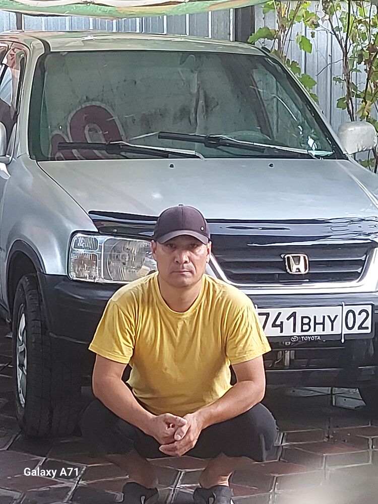  53365719  , 47 ,    