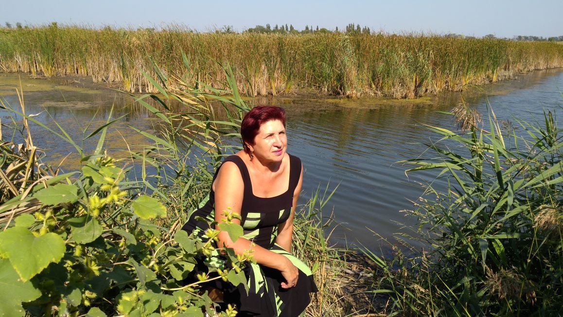 ���� 52832869 ������� �������, 64 ����, ���� ���������� � �������