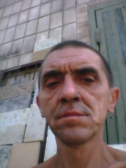 ���� 21355919 ������� �������, 48 ���, ���� ���������� � �����