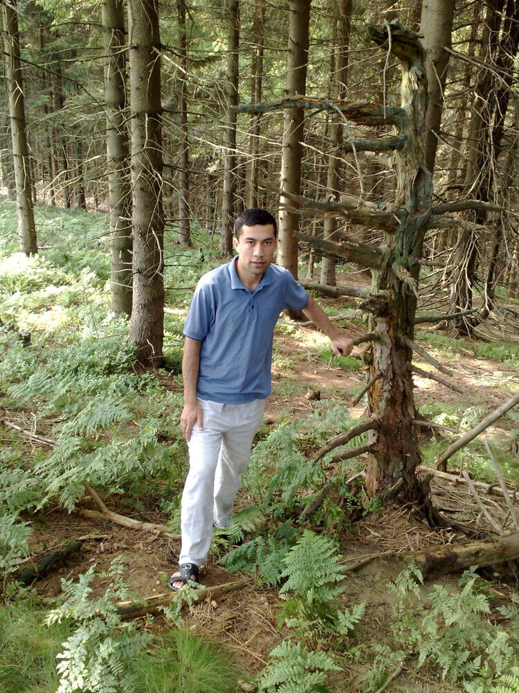 ���������� �������, ���� ������� ����, 44 ����, ������������ ��� ������, ����� � ���������, c�������� ���������, ���������