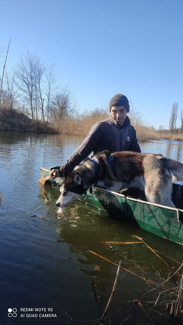 ���� 26857269 ������� ���������, 29 ���, ���� ���������� � ������