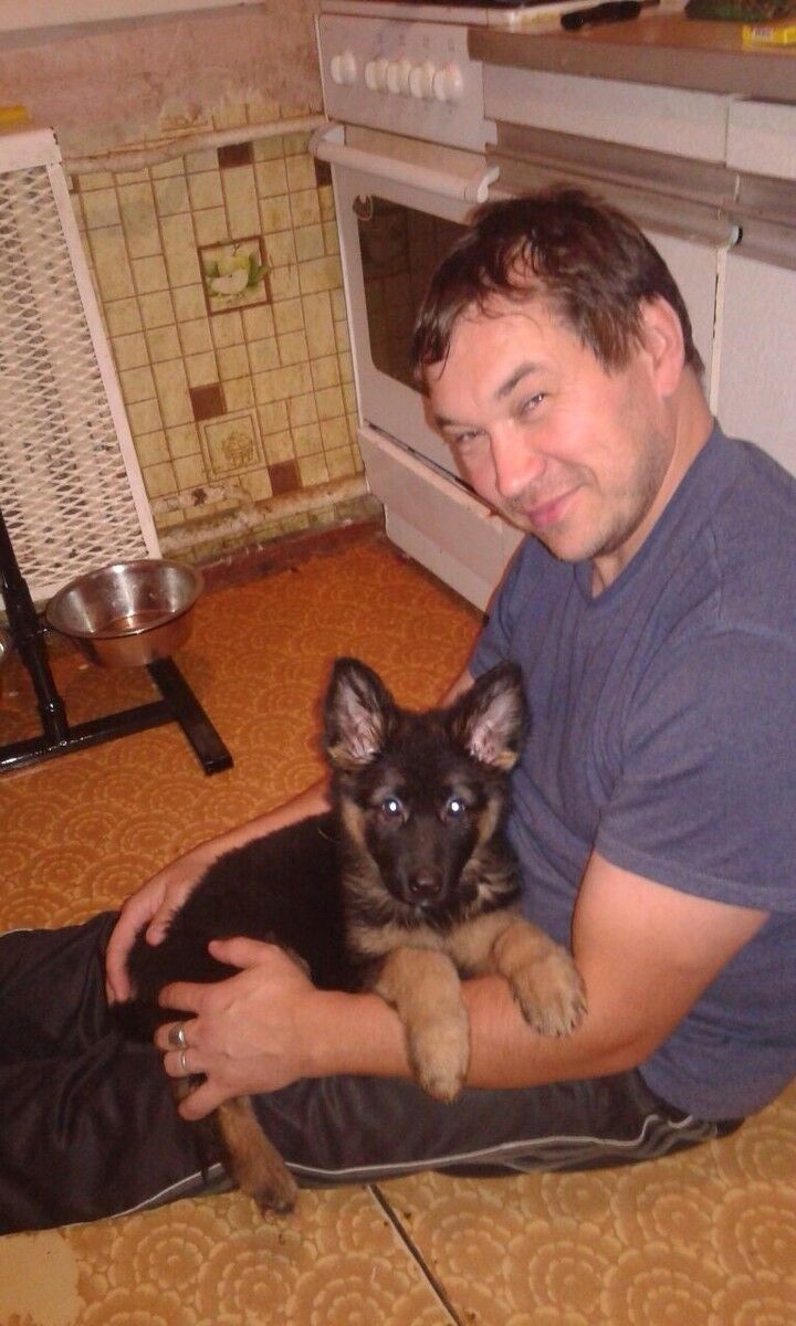 ���� 11483909 ������� �������, 48 ���, ���� ���������� � �������������