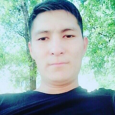 ���� 18172479 ������� ����, 33 ����, ���� ���������� � ������������