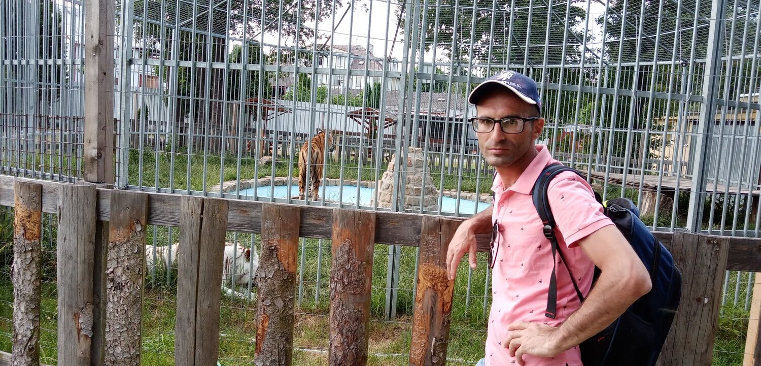 ���������� ������, ���� ������� �����, 38 ���, ������������ ��� ������, ����� � ���������