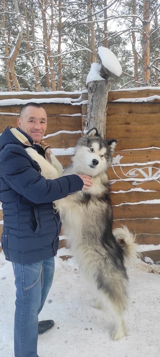 ���������� ������, ���� ������� ������, 50 ���, ������������ ��� ������, ����� � ���������