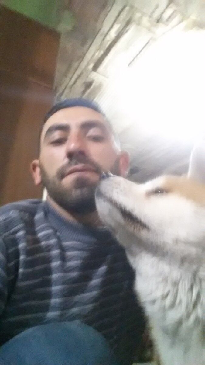 ���� 11007269 ������� VARDAN, 33 ����, ���� ���������� � �������